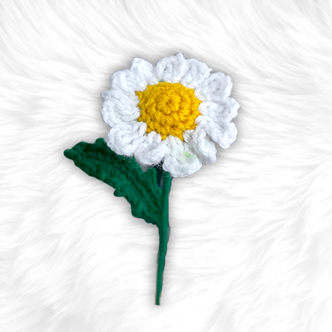 Daisy Flower