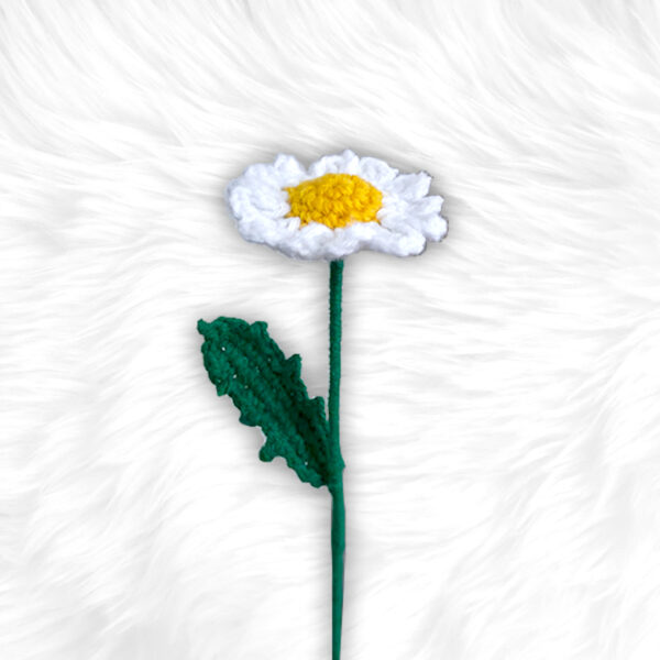 Daisy Flower